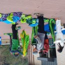 숲속의 즐거움 이미지