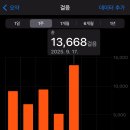 엔와이(NY)팜스토어 | 25/9/27 뉴욕 2일차_갤러거 스테이크 하우스/뮤지컬 위키드/소호 쇼핑