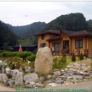 금성주유소 이미지