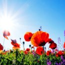 송도퍼스트치과의원 | 구강위생 관리를 위한 송도퍼스트치과의원에서 알아본 치아 건강 관리 정보