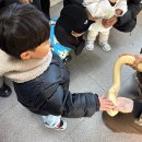 칠곡동물체험카페 이미지