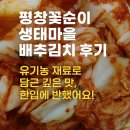 유기농마을 | 평창꽃순이 배추김치 후기｜생태마을 유기농 김치의 깊은 맛, 다시 찾게 된 이유