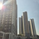 세븐일레븐 안성석정제일점 | 김이사줄눈119 - 평택석정공원 화성파크드림