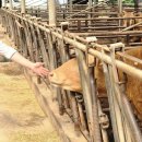 관산길 | 농협 청년농부사관학교11기 (안성 살아보기 3,4,5일차)