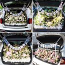 사림동250 | 창원 트렁크 프로포즈 가격