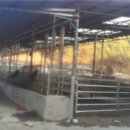 옥동4길 이미지