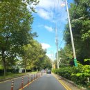 예담커피숍 | 인천대공원 동문 만의골 맛집 만의골 종가집 : 야장에서 즐기는 막걸리