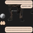 유경분식 - 중구 | 그럼에도 여전히 가끔은 삶에게 지는 날들도 있겠지