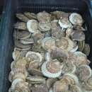 바닷가수산시장 이미지