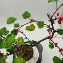 달림농장 이미지