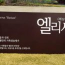 삼성개발