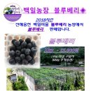 백일농장 이미지