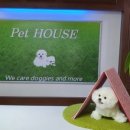 펫하우스 V 이미지