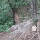 관음1리 이미지