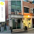 블룸드효제
