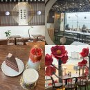 포토시그니처광안 | 광안리 오션뷰 카페 추천｜광안대교가 한눈에 보이는 '비엔나커피' 솔직 후기