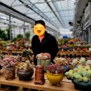 (주)삼표 화성에너지 | ​[화성 가볼만한곳] 도한정원 시실리 다육이 천국 온실농원 가격 &amp; 운영시간 등 후기