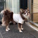 몽드드뚜뚜 이미지