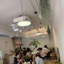 진주까페라네 | 🧁 부산 하단 디저트 카페 추천 🍰 카페 진주 방문 후기