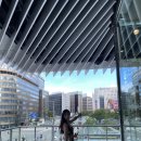 [후쿠오카] 3박4일/지난 여름휴가/후쿠오카 일정공유/남자친구랑해외여행/모모치해변/모츠나베/이치란...