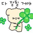 에코 호리 태권도 이미지