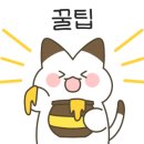King조개 이미지