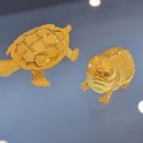 동남해농협상주지점 | [청주 복대동 금거래소] 정직하고 믿음직한 복대동 금매입, 국제표준금거래소 청주점 후기랍니다!