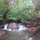 정골농장 이미지