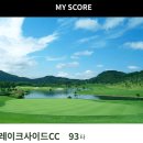 케이티엑스오비(KTX OB)광장 | 용인 레이크사이드CC 라운딩 후기 - 주말 골퍼들을 위한 서,동,남코 3개 코스별 지형 특징