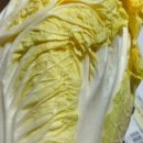 늘푸른농장 1 이미지