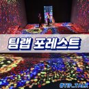 팀랩 | 후쿠오카 이색체험 팀랩 포레스트 후기