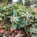 창이대로 이미지