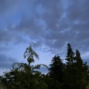 (유)군산귀뚜라미 | 기록하다보니 살이 안빠지는 이유을 알게 됨^^