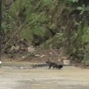 휴무인모텔 이미지