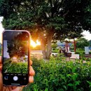 원동달팽이 이미지