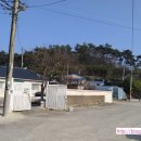 김영농장 이미지