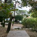 박달재자연휴양림 이미지