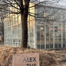 알렉스 하우스 | 그릴 하우스 불 여주 장복골 용인 알렉스 더 커피 특별한 날을 더 특별하게 서울 외곽 데이트 스팟