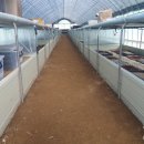 월학농장 이미지