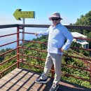 울릉도, 독도 여행후기 (3박4일) 이미지