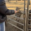 민형농장 이미지