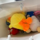 짱오락실 부산광안리점 이미지