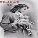 쉐마 이미지