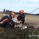 [국도43] 아산시 신남리