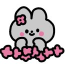 더리플