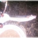 삼주초장 이미지