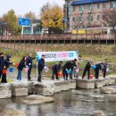 공공용 17 이미지