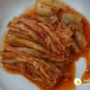 해양산 Daum카페