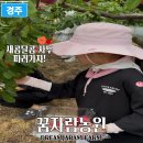 과일따기 체험 찾는다면? 아이도 어른도 즐거웠던 꿈자람농원