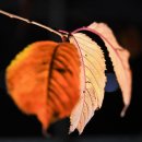 겨울아침창가에서 이미지